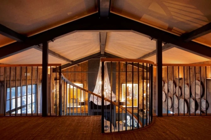 Wild night: a stunning hotel has opened in Kent, where you can relax next door to the lions