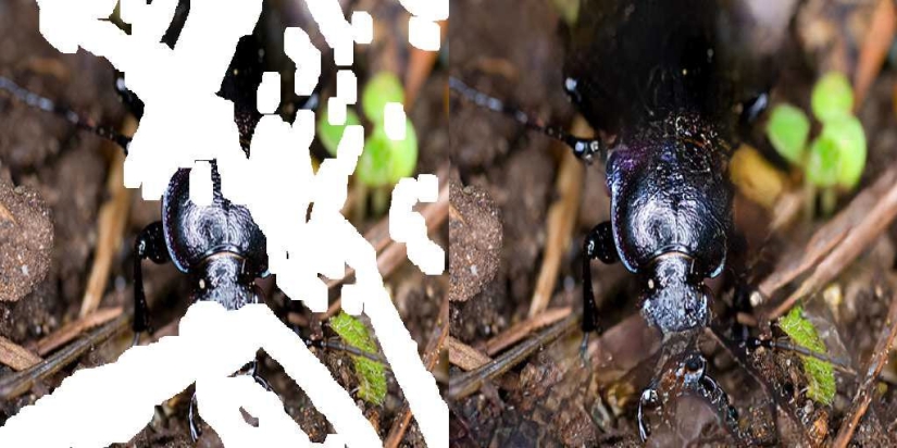 With NVIDIA's new autofill tool, you will no longer paint over your eyes with skin With NVIDIA's new autofill tool, you will no longer paint over your eyes with skin