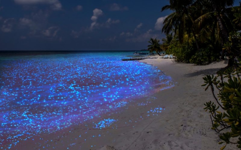 Wonders of nature... the most unusual natural phenomena in the world!