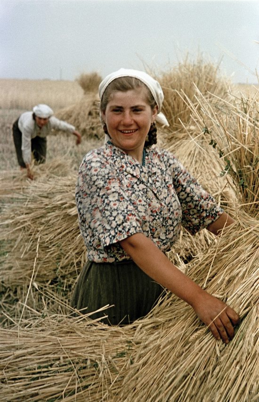 Working life: unknown color photos of everyday life in the USSR 1950s