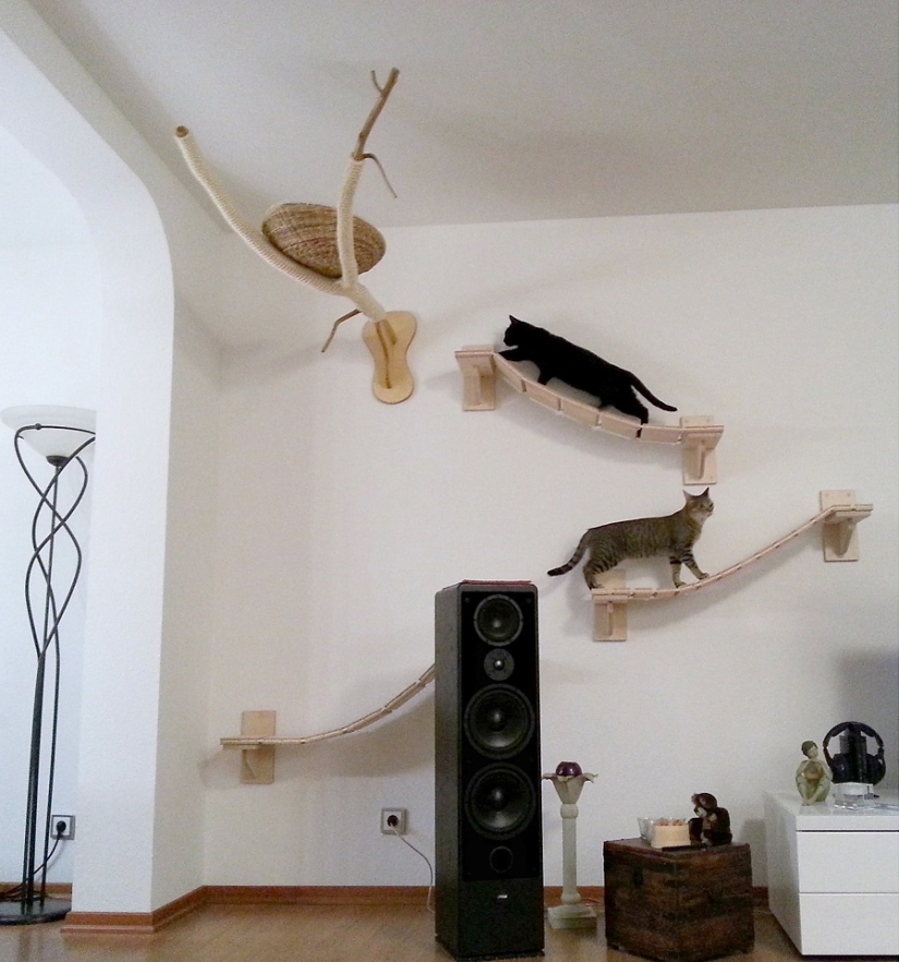 Y tú juegas, juegas, juegas, juegas: parques infantiles para gatos