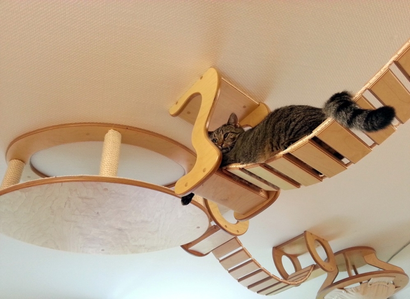 Y tú juegas, juegas, juegas, juegas: parques infantiles para gatos