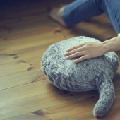 You stroke her, and she purrs: the Japanese have created a cat substitute pillow