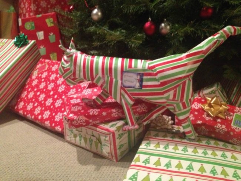 You wait for a guitar, and you get a T—shirt - Christmas surprises from noble trolls