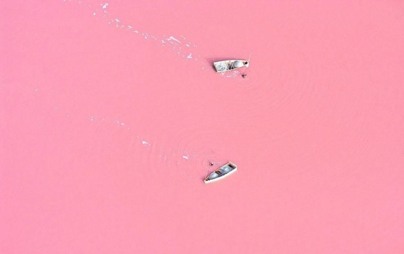 You won't believe it - unrealistically real photos You won't believe it - unrealistically real photos