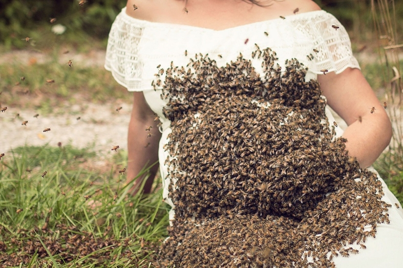 Zhu-zhu-creepy shots: a pregnant American woman arranged a photo shoot with a swarm of bees Zhu-zhu-creepy shots: a pregnant American woman arranged a photo shoot with a swarm of bees