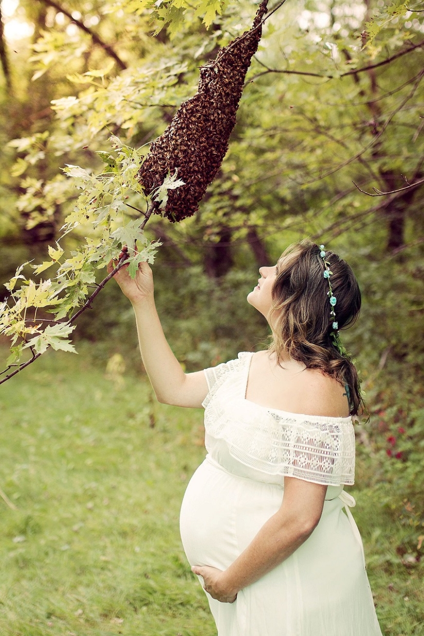 Zhu-zhu-creepy shots: a pregnant American woman arranged a photo shoot with a swarm of bees Zhu-zhu-creepy shots: a pregnant American woman arranged a photo shoot with a swarm of bees