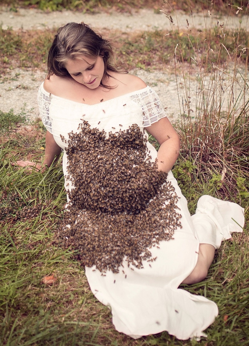 Zhu-zhu-creepy shots: a pregnant American woman arranged a photo shoot with a swarm of bees Zhu-zhu-creepy shots: a pregnant American woman arranged a photo shoot with a swarm of bees