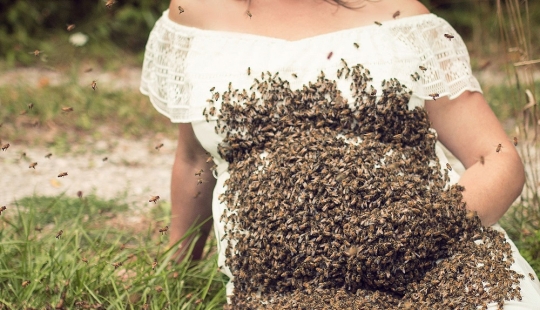 Zhu-zhu-fotos espeluznantes: una mujer estadounidense embarazada organizó una sesión de fotos con un enjambre de abejas