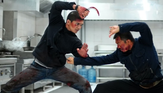 10 Amazing Martial Arts Movies and TV Shows to Watch if you Love Max's Warrior 10 Amazing Martial Arts Movies and TV Shows to Watch if you Love Max's Warrior