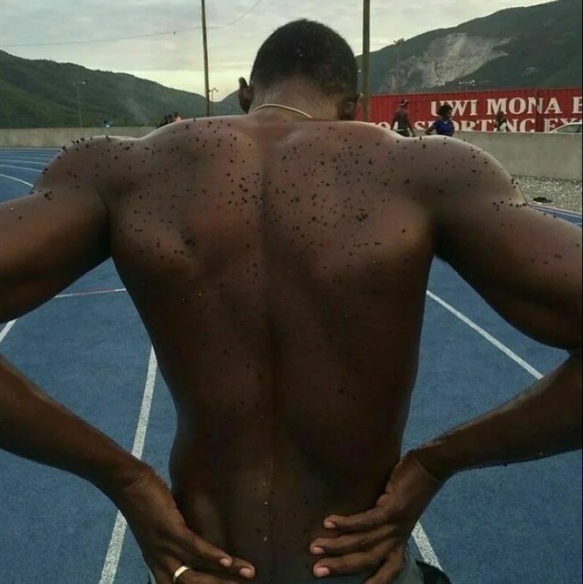 10 Amazing Photos of Athletes Demonstrating the Incredible Powers of the Human Body