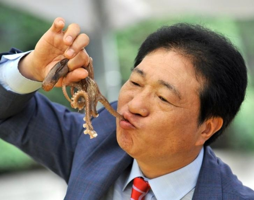 10 animales que la gente come vivos