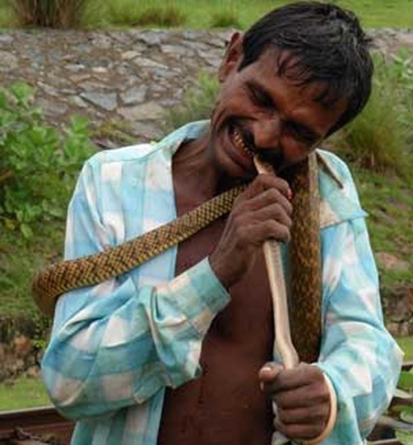 10 animales que la gente come vivos