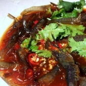 10 animals that people eat alive