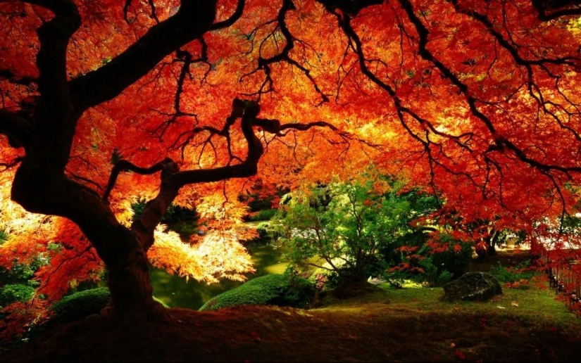 10 autumn photos that have become blog hits 10 autumn photos that have become blog hits