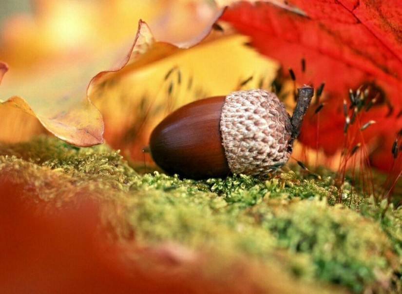 10 autumn photos that have become blog hits 10 autumn photos that have become blog hits