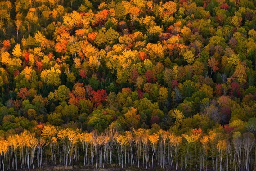 10 autumn photos that have become blog hits 10 autumn photos that have become blog hits