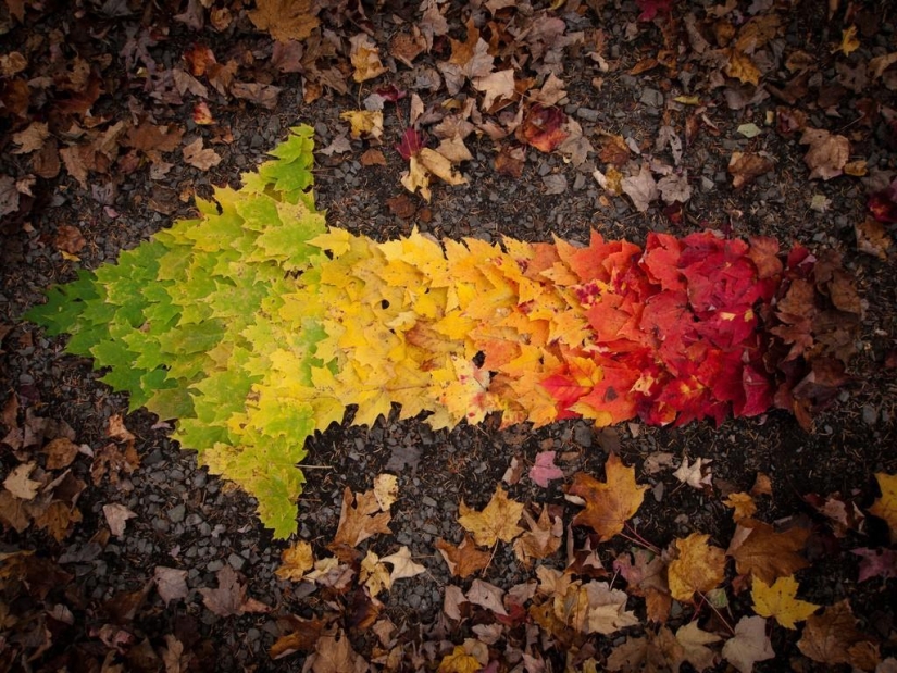 10 autumn photos that have become blog hits 10 autumn photos that have become blog hits