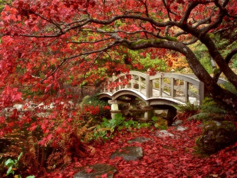 10 autumn photos that have become blog hits 10 autumn photos that have become blog hits