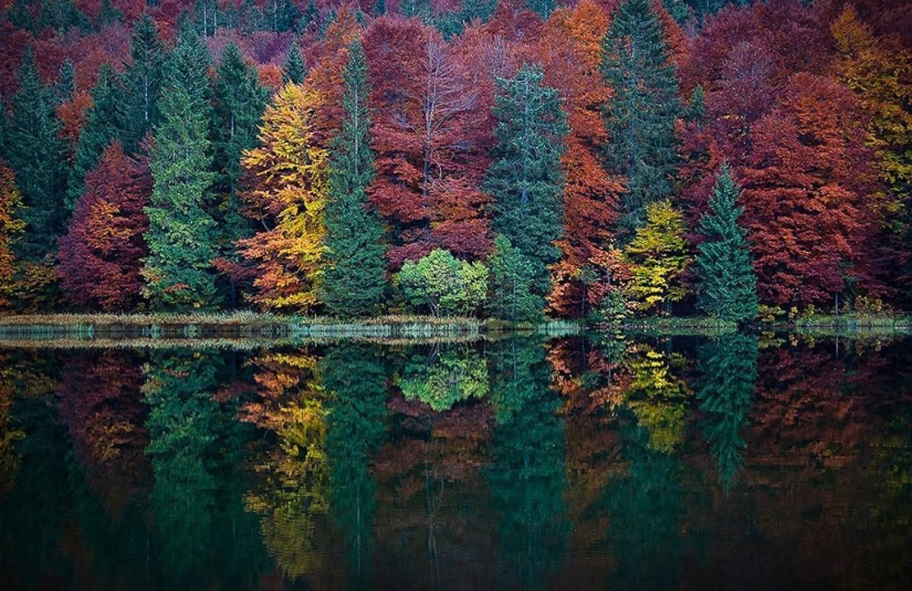 10 autumn photos that have become blog hits 10 autumn photos that have become blog hits