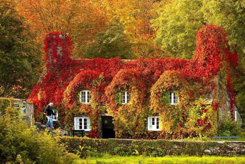 10 autumn photos that have become blog hits 10 autumn photos that have become blog hits