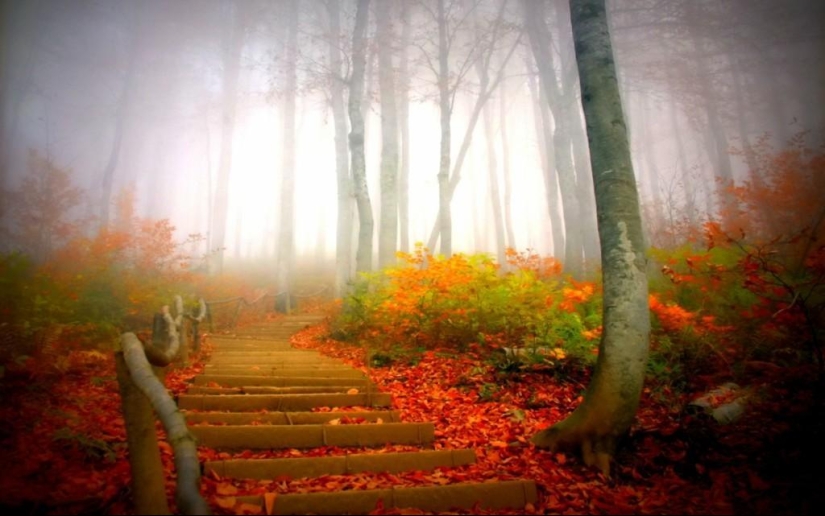 10 autumn photos that have become blog hits 10 autumn photos that have become blog hits