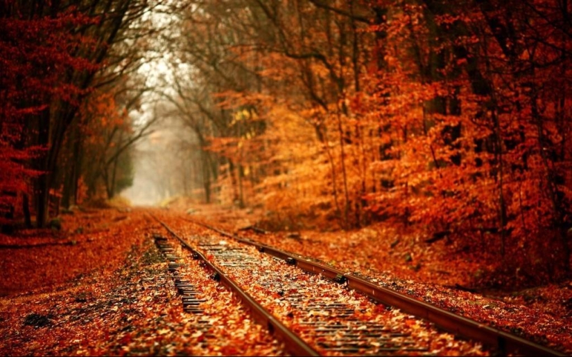 10 autumn photos that have become blog hits 10 autumn photos that have become blog hits