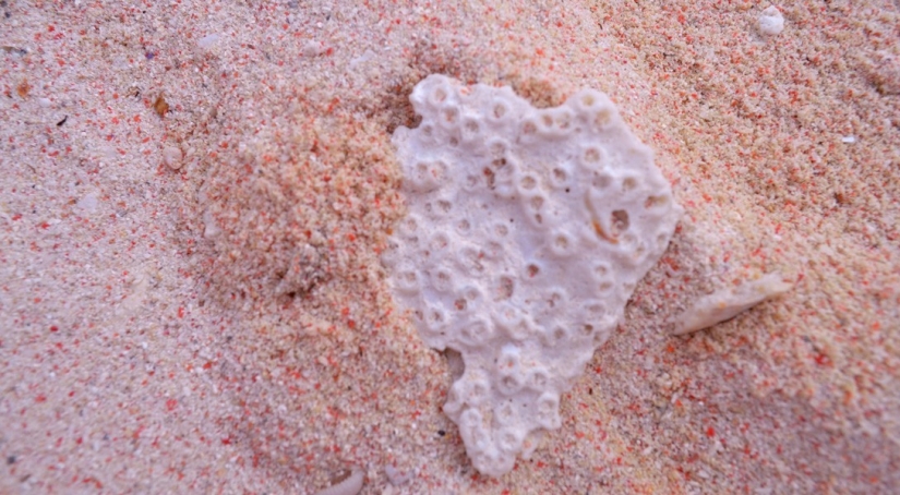 10 beaches where you can do without pink glasses 10 beaches where you can do without pink glasses