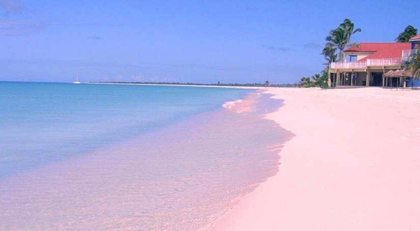 10 beaches where you can do without pink glasses 10 beaches where you can do without pink glasses
