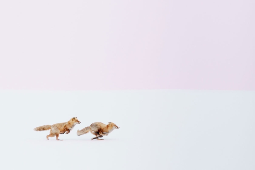 10 Best works of Nat Geo's 2016 Travel Photographer of the Year contest