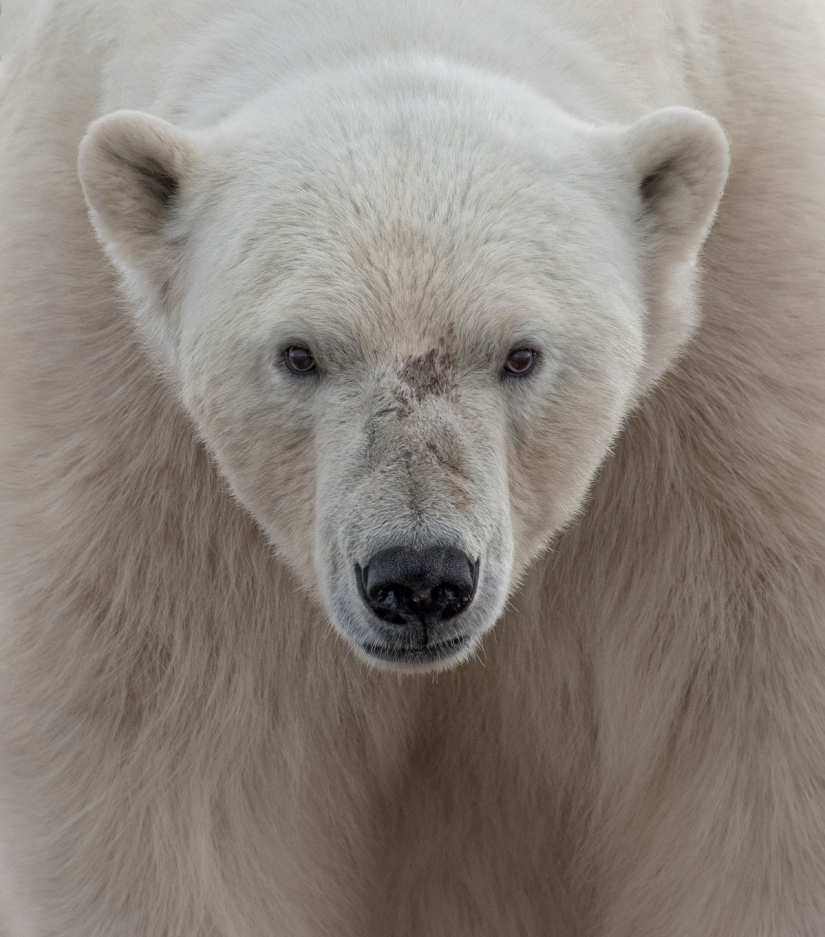 10 Best works of Nat Geo's 2016 Travel Photographer of the Year contest