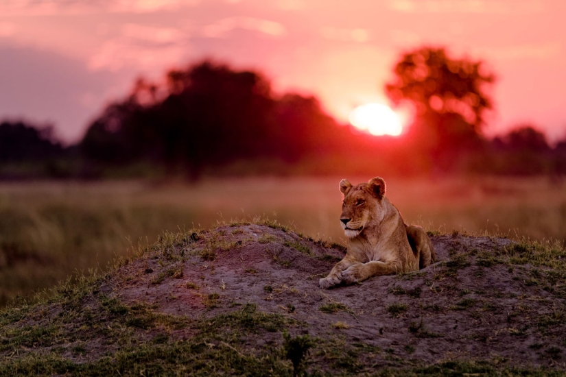 10 Best works of Nat Geo's 2016 Travel Photographer of the Year contest
