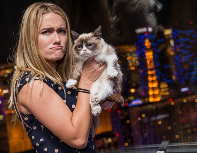 10 cherished secrets of the success of the richest cat in the world 10 cherished secrets of the success of the richest cat in the world