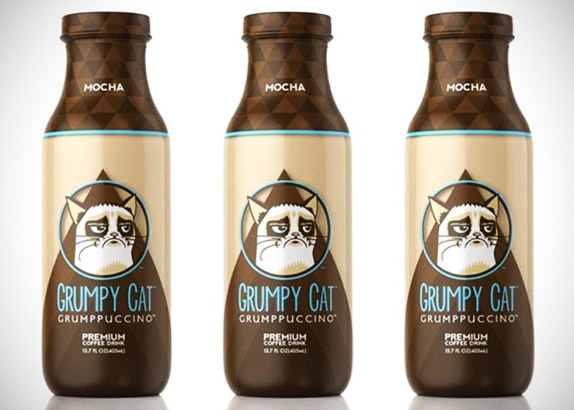 10 cherished secrets of the success of the richest cat in the world 10 cherished secrets of the success of the richest cat in the world