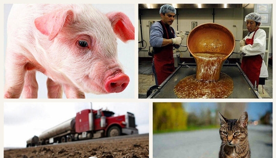 10 common things that can become weapons