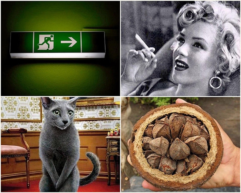 10 cosas que no sabías que eran radiactivas 10 cosas que no sabías que eran radiactivas