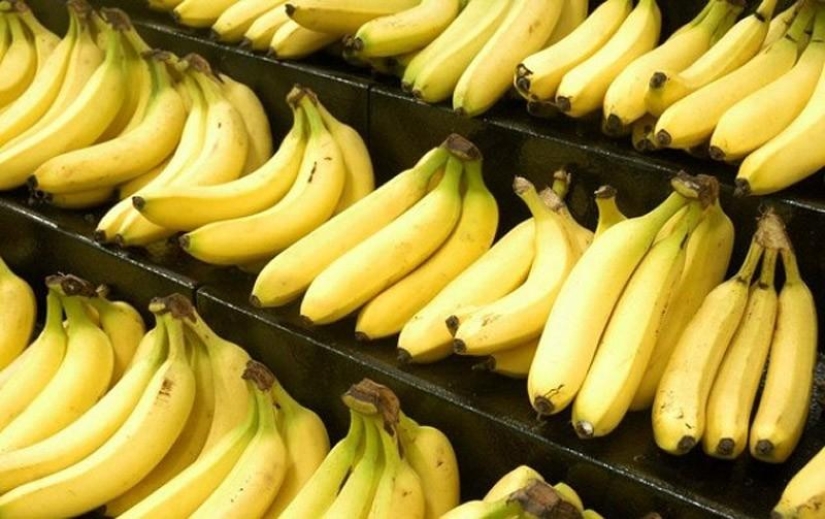 10 cosas que no sabías que eran radiactivas 10 cosas que no sabías que eran radiactivas