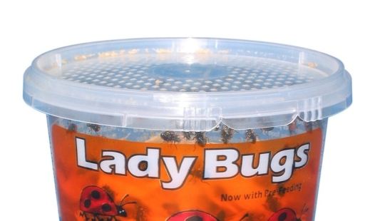 10 Creepiest Items You Can Buy Online