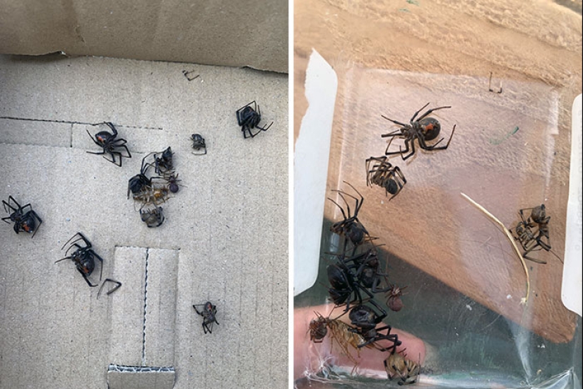 10 de las cosas más desafortunadas con las que la gente se vio obligada a lidiar 10 de las cosas más desafortunadas con las que la gente se vio obligada a lidiar