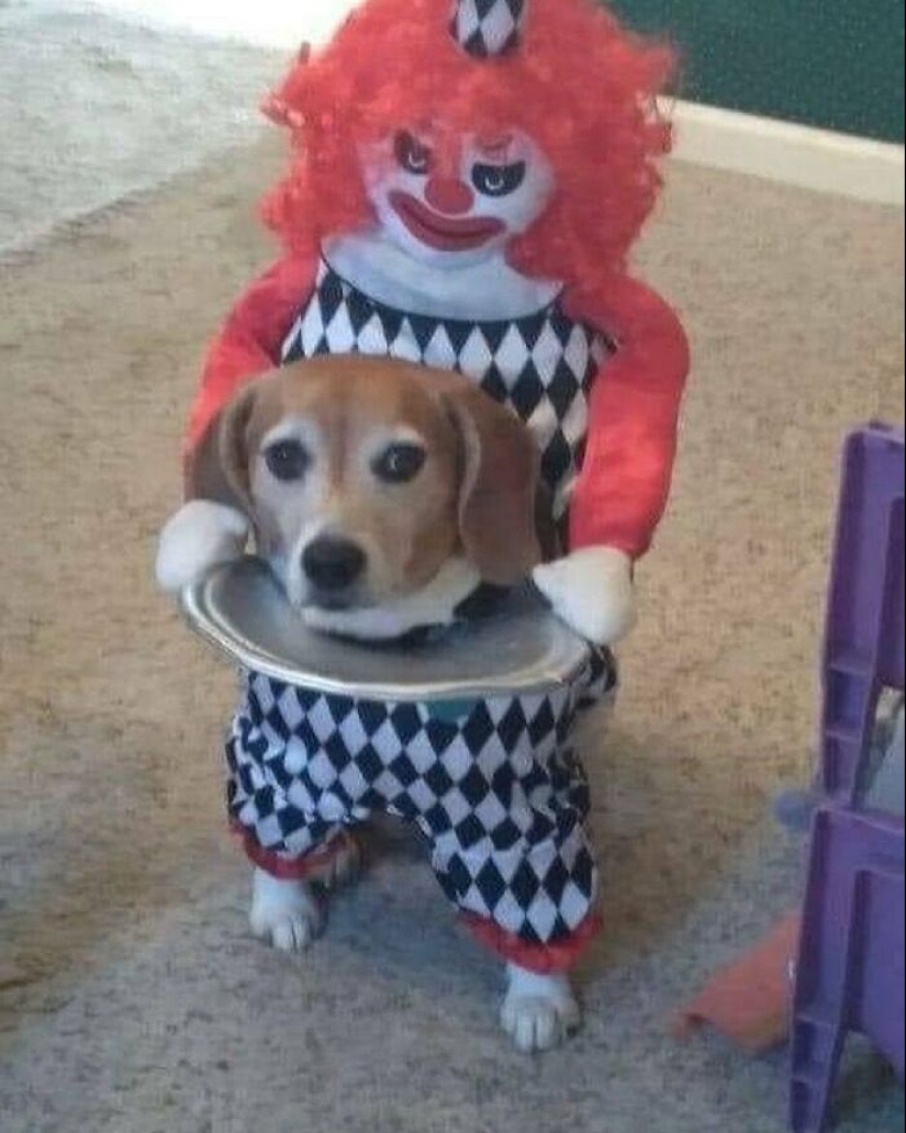 10 Examples Of ‘Ugly Design’ Shared By This Insta Page