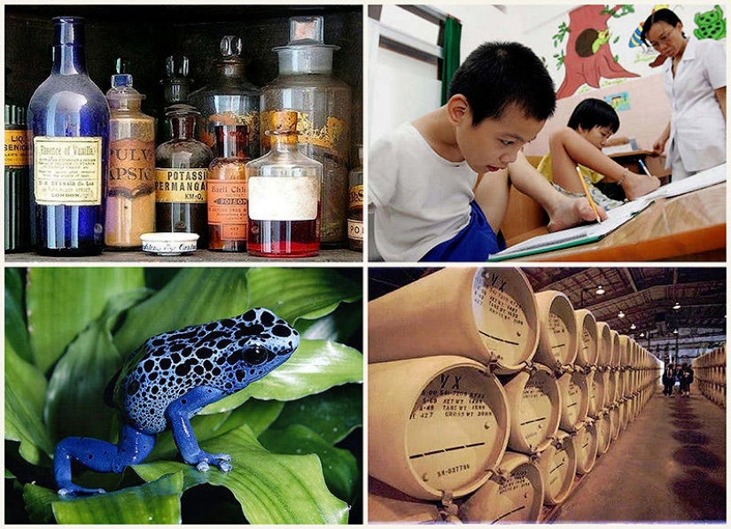 10 facts about poisons