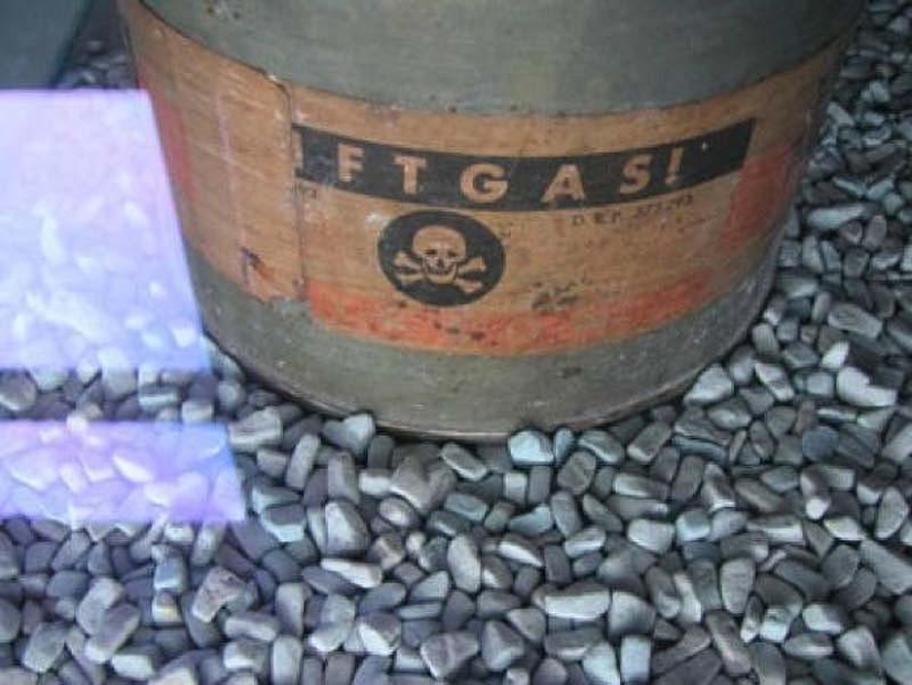 10 facts about poisons