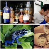 10 facts about poisons