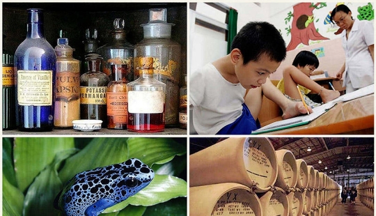 10 facts about poisons