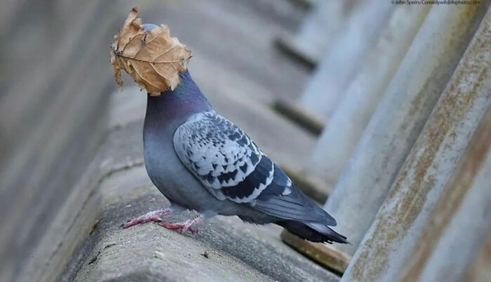 10 Fascinating Pics Featured On “The Decisive Moments Magazine” Instagram Account