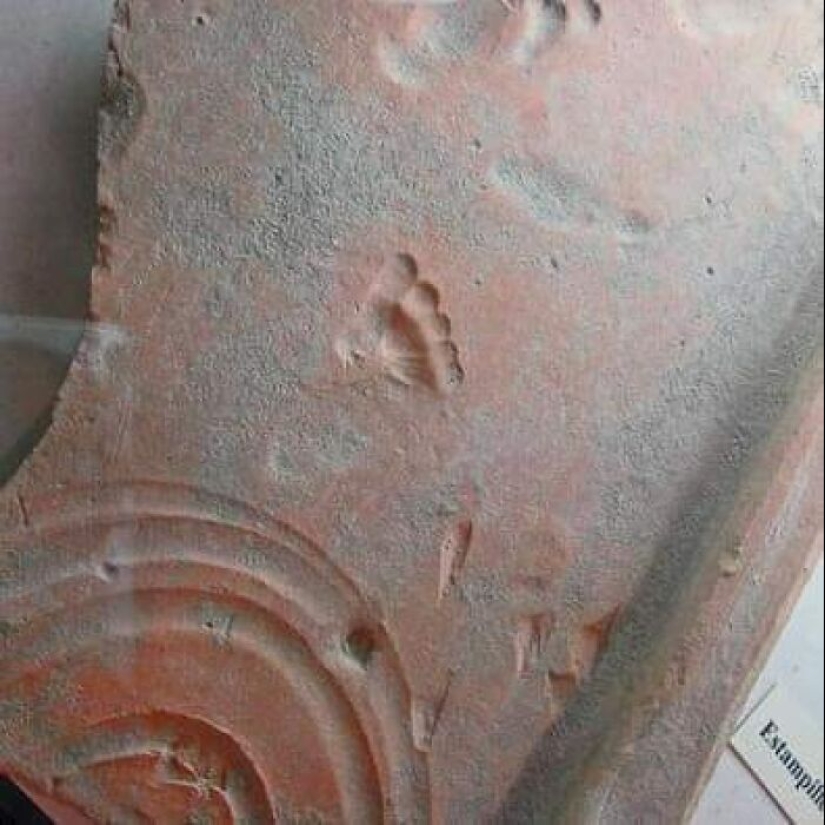 10 Fascinating Archeological Finds We Are Lucky Enough To Witness, As Shared On This FB Group 10 Fascinating Archeological Finds We Are Lucky Enough To Witness, As Shared On This FB Group