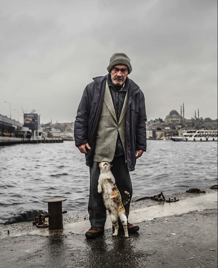 10 fotografías callejeras que lograron capturar la belleza de los gatos, presentadas en esta página de Instagram (Parte 2) 10 fotografías callejeras que lograron capturar la belleza de los gatos, presentadas en esta página de Instagram (Parte 2)