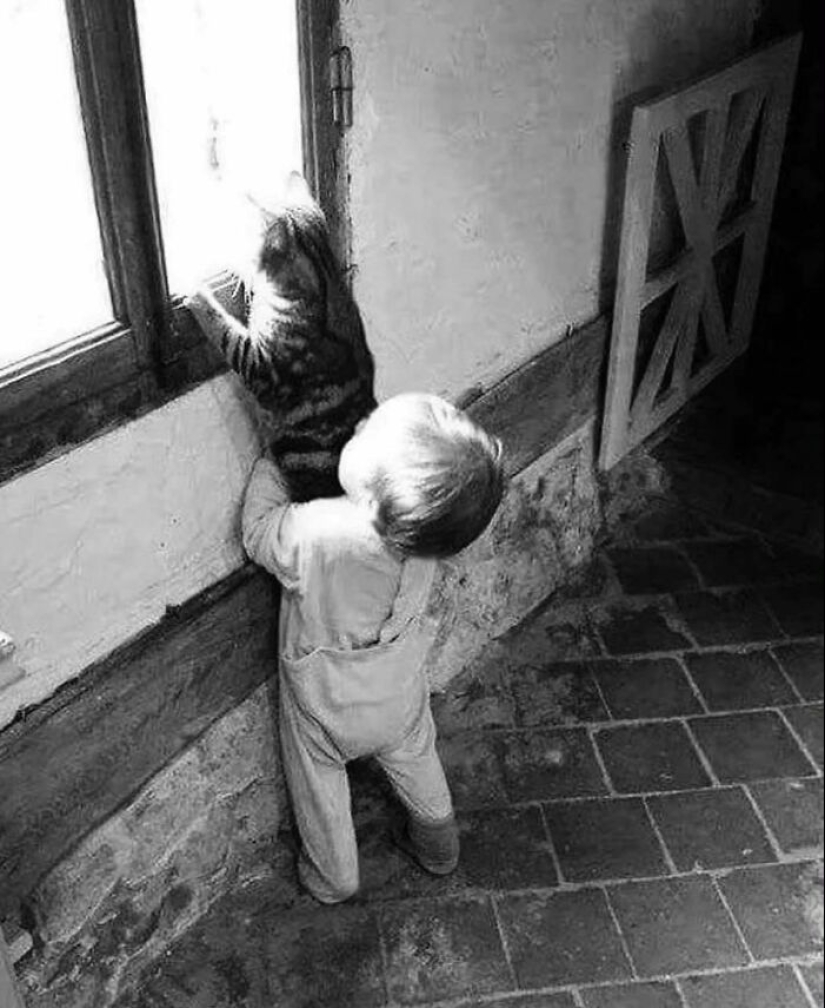 10 fotografías callejeras que lograron capturar la belleza de los gatos, presentadas en esta página de Instagram (Parte 2) 10 fotografías callejeras que lograron capturar la belleza de los gatos, presentadas en esta página de Instagram (Parte 2)