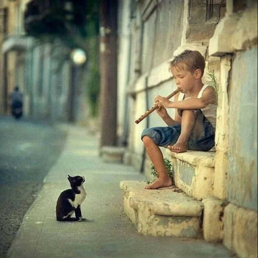 10 fotografías callejeras que lograron capturar la belleza de los gatos, presentadas en esta página de Instagram (Parte 2) 10 fotografías callejeras que lograron capturar la belleza de los gatos, presentadas en esta página de Instagram (Parte 2)