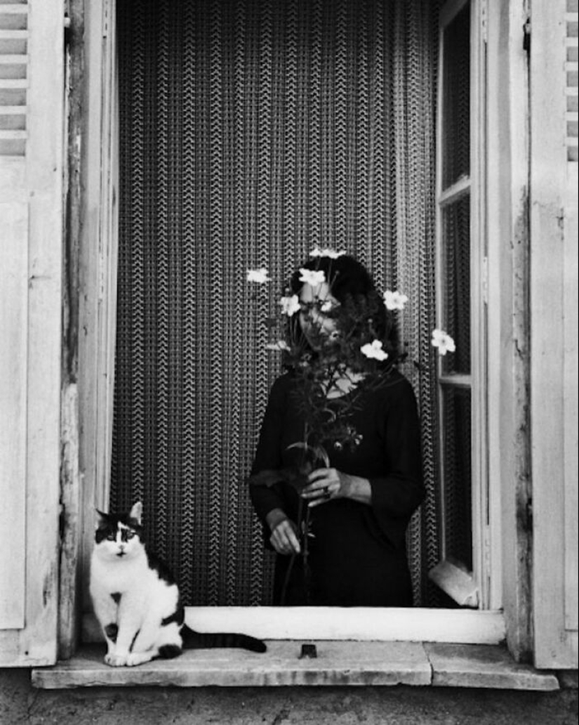 10 fotografías callejeras que lograron capturar la belleza de los gatos, presentadas en esta página de Instagram (Parte 2) 10 fotografías callejeras que lograron capturar la belleza de los gatos, presentadas en esta página de Instagram (Parte 2)